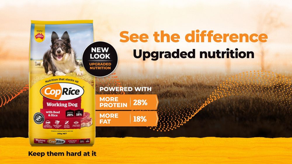 See the difference: CopRice Working Dog with Beef & Rice, upgraded nutrition with more protein (28%) and more fat (18%)