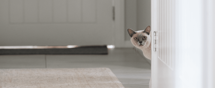 Blog Header.png