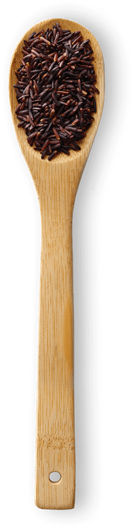 black-rice-spoon.png