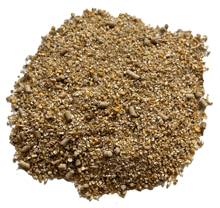 image2.png