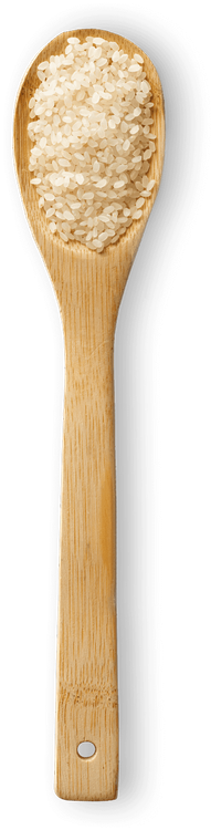 sushi-rice-spoon.png