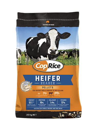 CopRice_Heifer_No FO.png