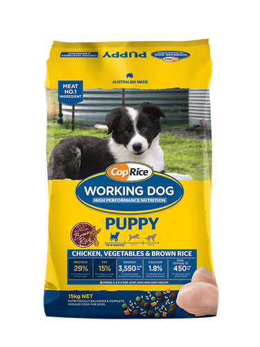 WD Puppy Chick_no FO.png