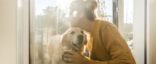 How do dogs make us happy (and what can we do in return)? Image