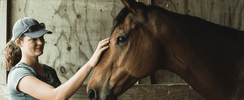 5 Tips for topline without the fizz Image